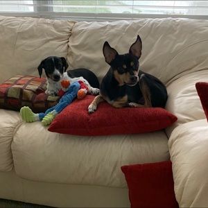 Meet your Posher, Jody